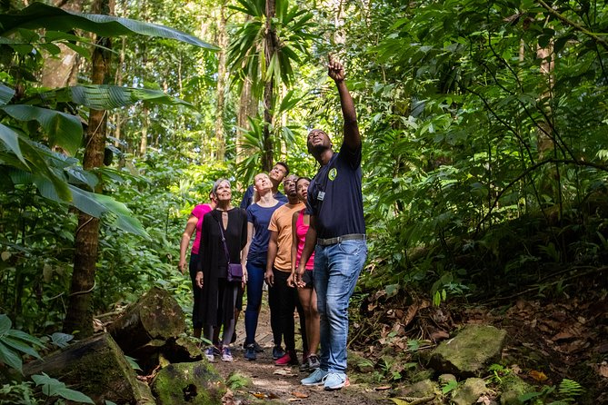 St Lucia Ultimate 3: Aerial Tram, Zipline and Hiking at Rainforest Adventures - Tram back down and time for snacks, photos, and restrooms