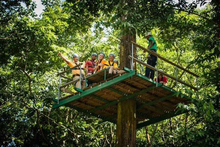 St Lucia Ultimate 3 Package: Aerial Tram Zip Line & Hiking - Key highlights to look for