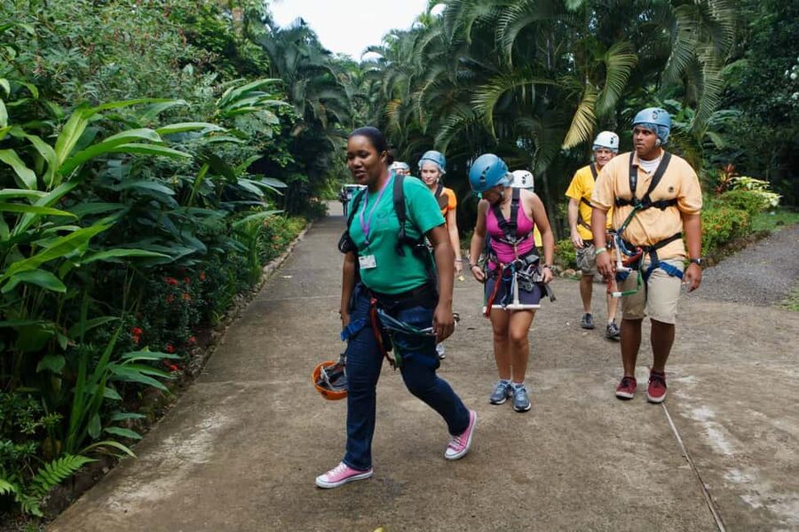 St Lucia Ultimate 3 Package: Aerial Tram Zip Line & Hiking - Chassin Babonneau and the Protected Canopy: Your Starting Point in Saint Lucia
