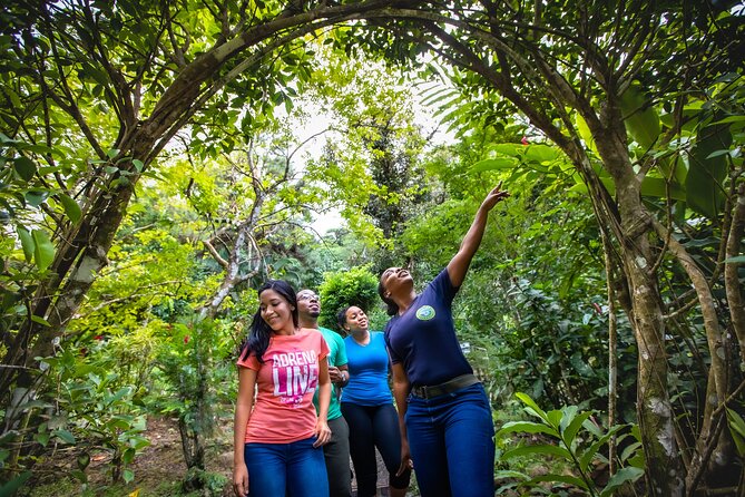 St. Lucia Zip line, Aerial Tram and Hiking tour Ultimate 3 - The naturalist guide stop: wildlife you can actually look for