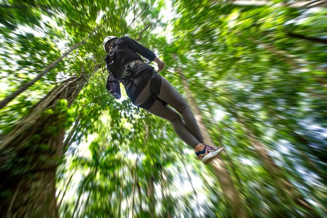 St. Lucia Zip line, Aerial Tram and Hiking tour Ultimate 3 - The zipline canopy course: 8 ziplines, 16 platforms, and what it feels like