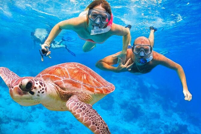 St.Maarten Nature, Hike & Snorkeling - Key things I’d pin on your map first