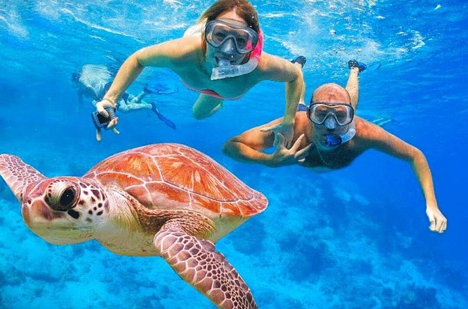 St.Maarten Nature, Hike & Snorkeling - The bottom line: Should you book this St. Maarten nature, hike & snorkeling tour?