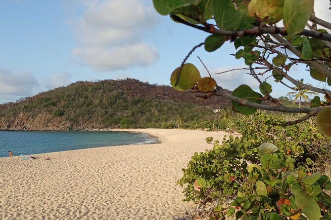 St.Martin - St. Maarten: Small Group, Coastal Hike & Swim Tour - Key things to know before you go