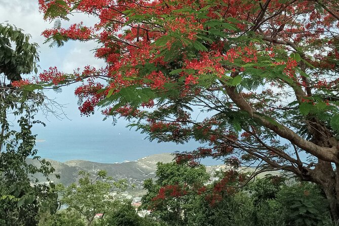 St.Martin - St. Maarten: Small Group, Coastal Hike & Swim Tour - A morning of peaks, pond stops, and calm-water snorkeling