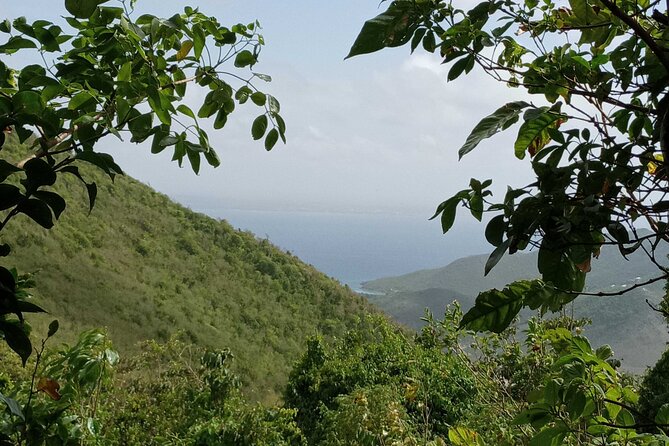 St.Martin - St. Maarten: Small Group, Coastal Hike & Swim Tour - Coralita Beach nature time: a calm start on the east coast