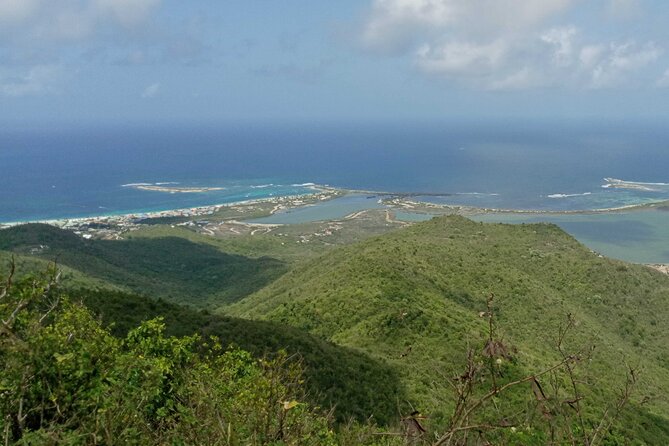 St.Martin - St. Maarten: Small Group, Coastal Hike & Swim Tour - Saltwater pond wildlife: lizards, birds, and iguanas