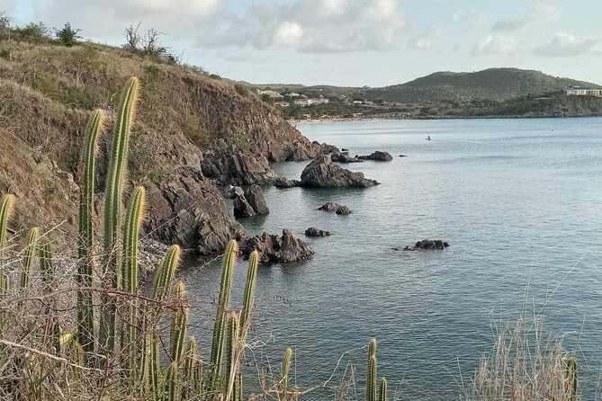 St.Martin - St. Maarten: Small Group, Coastal Hike & Swim Tour - Snorkeling in calm bay waters: what to expect