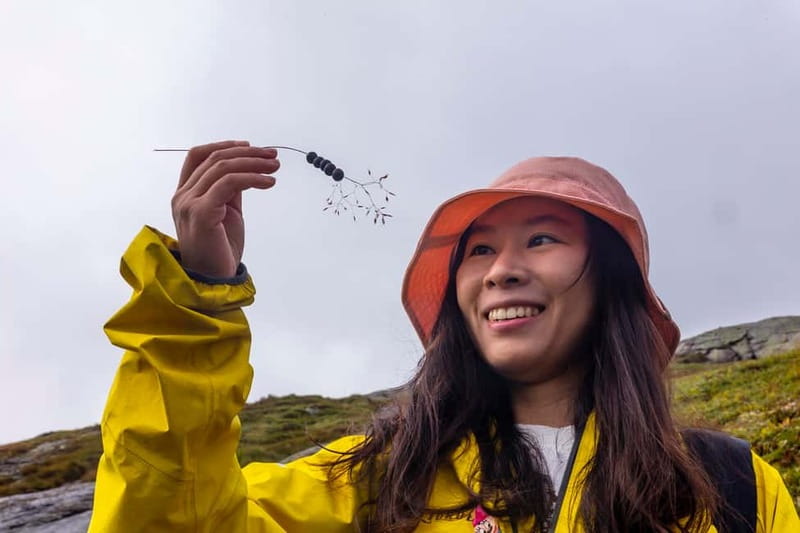 Stavanger: Kjerag Summer Hike with Packed Lunch - Key things that make this Kjerag summer hike worth it