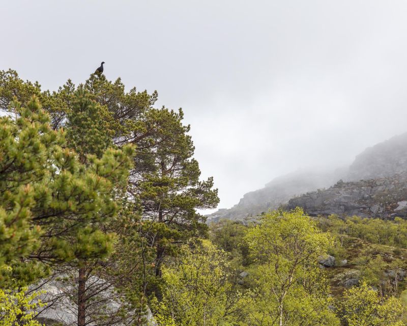 Stavanger: Preikestolen Hidden Trail Hike + Canoe + Lunch - Revsvatnet canoe time: relaxing start, clear safety, real coaching