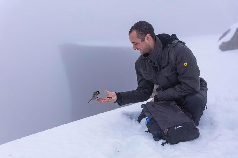 Stavanger: Preikestolen Winter Hike + Hot Lunch - Why a winter Preikestolen hike feels different