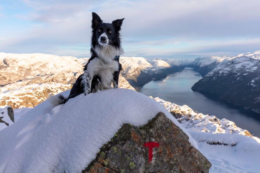 Stavanger: Preikestolen Winter Hike + Hot Lunch - Getting to the trail: Stavanger pickup to the trailhead