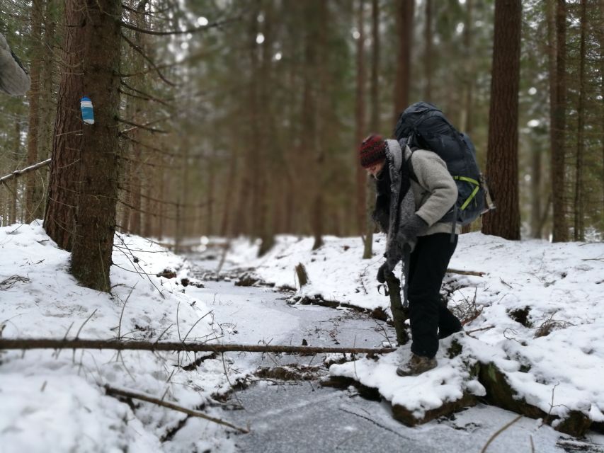 Stockholm: Nature Hike with Campfire Lunch - Why a Campfire Lunch Changes the Whole Hike