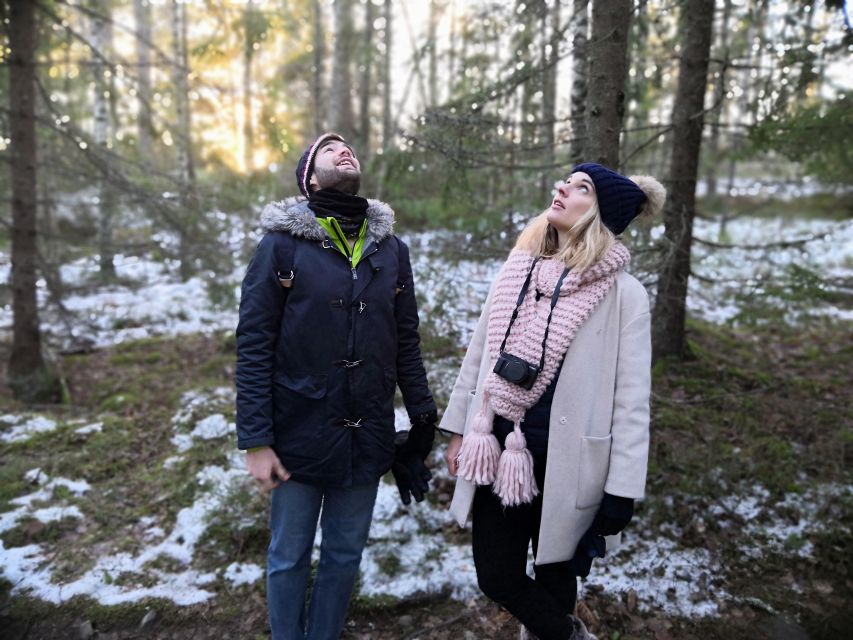 Stockholm: Nature Hike with Campfire Lunch - Winter Timing: Torch Lamps and Animal-Spotting in the Afternoon