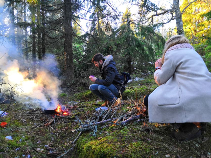Stockholm: Nature Hike with Campfire Lunch - Price, Group Size, and Whether $149 Makes Sense