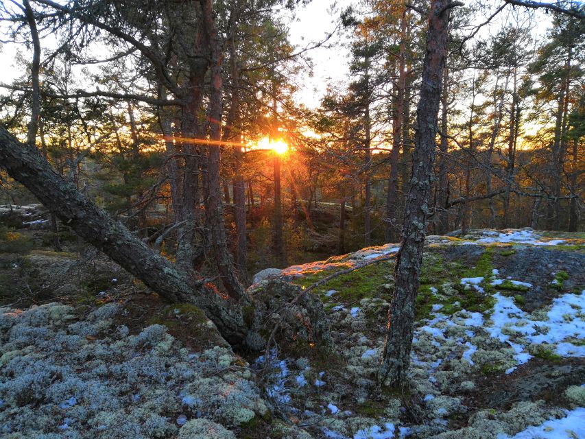 Stockholm: Nature Hike with Campfire Lunch - What to Bring for a Comfortable Winter Hike