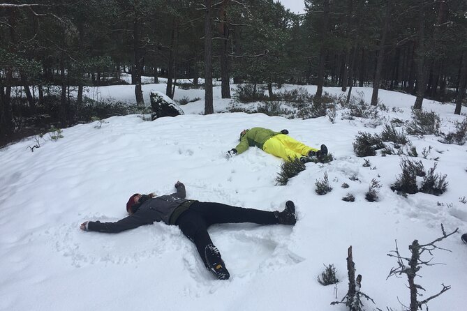 Stockholm: Nature Reserve Hiking Tour with Campfire Lunch - Why this Nacka hike feels like the right kind of Stockholm break