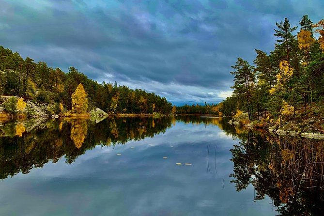 Stockholm: Nature Reserve Hiking Tour with Campfire Lunch - The first hike segment: dense forest, hidden stops, and cliff scenery