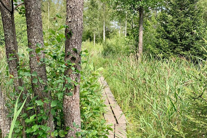 Stockholm: Nature Reserve Hiking Tour with Campfire Lunch - Campfire lunch: why the meal is more than food