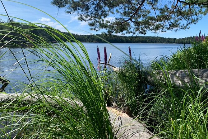 Stockholm: Sunset Hike in Tyresta National Park with Meal - Trading Downtown Noise for Tyresta’s Night Quiet