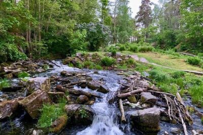 Stockholm: Sunset Hike in Tyresta National Park with Meal - From Gullmarsplan to real quiet: how the start works