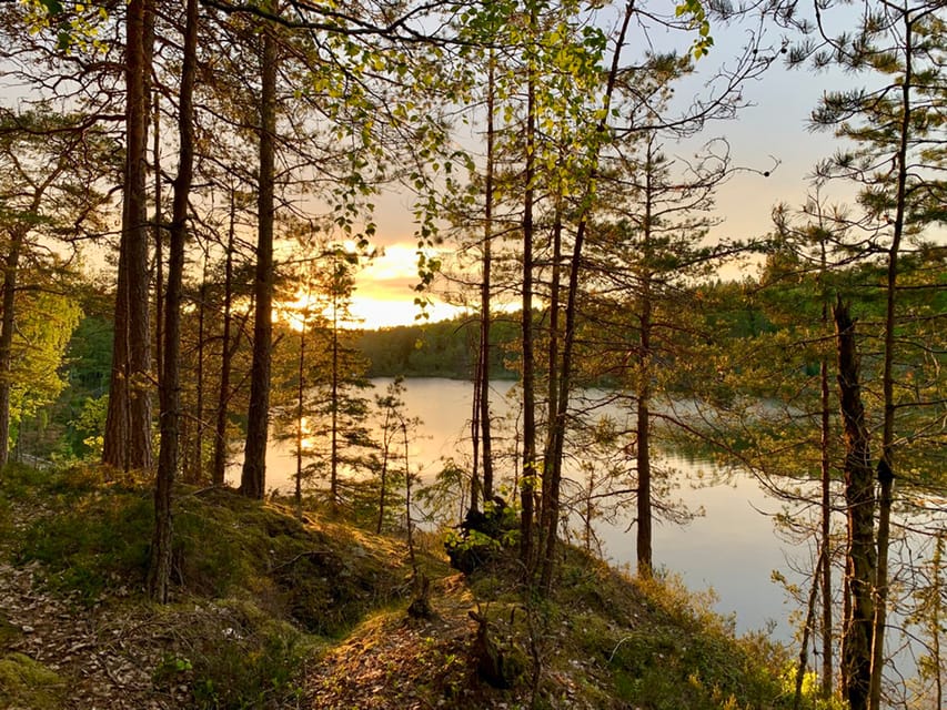 Stockholm: Sunset Hike in Tyresta National Park with Meal - Price and value: what you’re really paying for at $144