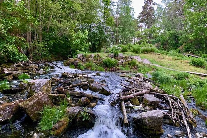 Stockholm: Sunset Hike in Tyresta National Park with Meal - Fika and a Real Meal: The Warm Part of the Whole Hike