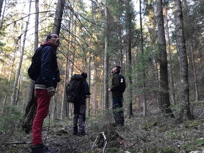 Stockholm: Wildlife Tour With Dinner and Short Hike - Price and value: is $160 for 5 hours a fair deal?