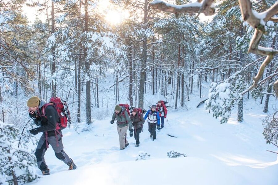 Stockholm: Winter Snowshoe Full-Day Hike - Key Things You’ll Notice on This Stockholm Snowshoe Hike