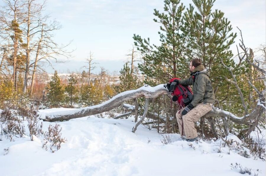 Stockholm: Winter Snowshoe Full-Day Hike - Should You Book the Stockholm Winter Snowshoe Hike?