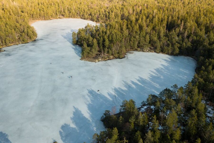 Stockholm: Winter Snowshoe Full-Day Hike - Why This Winter Hike Feels Close to Real Sweden