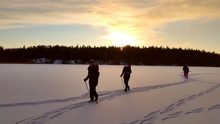 Stockholm: Winter Snowshoe Full-Day Hike - Gear and Safety: How the Tour Handles Snow and Ice