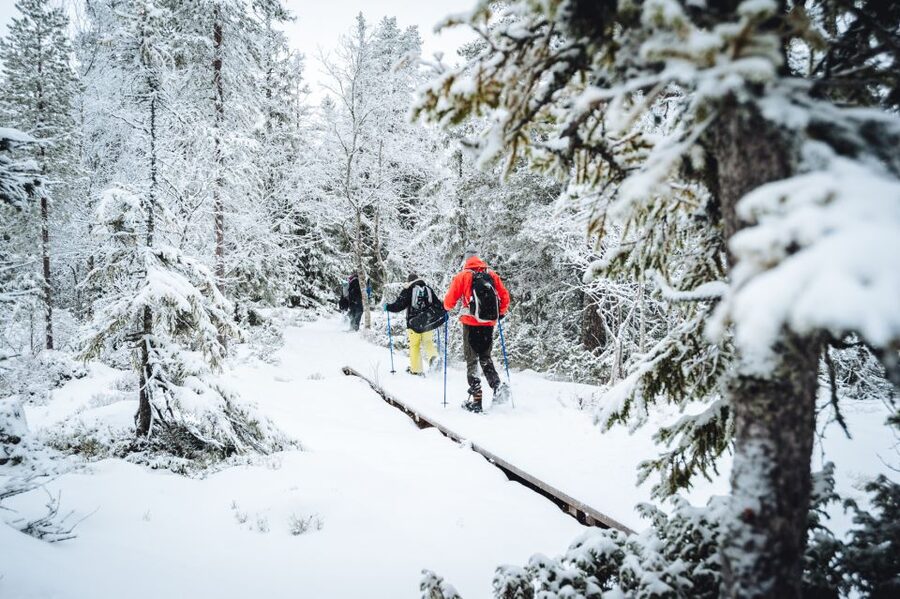 Stockholm: Winter Snowshoe Full-Day Hike - Campfire Lunch Value: What You’re Actually Buying