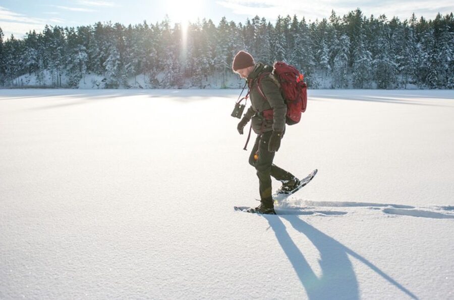 Stockholm: Winter Snowshoe Full-Day Hike - Price and Logistics: Is $176 a Smart Use of Your Time?