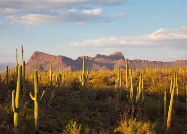 Stunning Sunset or Sunrise Guided Hiking Adventure in Phoenix - Key reasons to go on this Phoenix sunrise or sunset hike