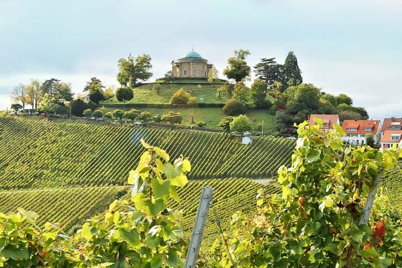 Stuttgart: Wine hike with wine tasting - The Wine Tasting: One Glass, But With Context