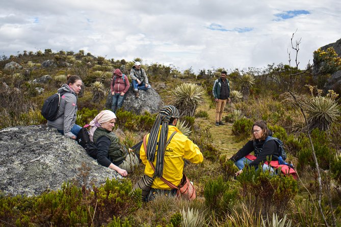 Sumapaz Páramo Private Hike Tour - Why Sumapaz Páramo feels so different from Bogotá