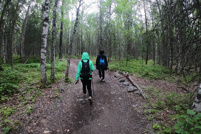 Summer Valley and Forest Hike - Chugach State Park in 5 Hours, Not a Half Day of Stress