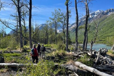Summer Valley and Forest Hike - What You’ll See: Trees, Shrubs, Water, and the Stuff You Usually Miss