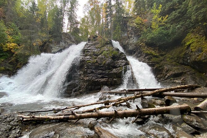 Summer Valley and Forest Hike - The Chugach State Park Stop: Eagle River Ecology and River Views