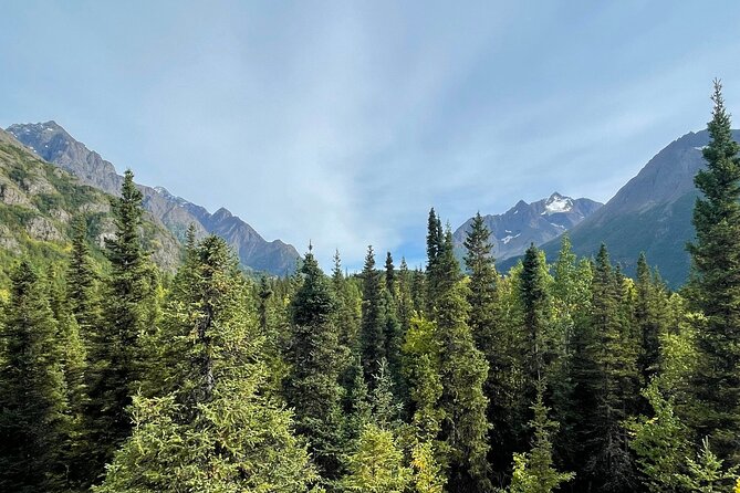 Summer Valley and Forest Hike - Snacks and Small Comforts That Actually Matter