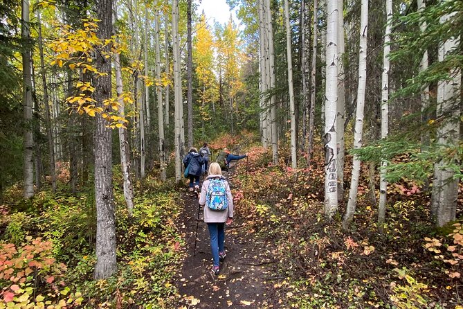 Summer Valley and Forest Hike - Solo-Friendly by Design