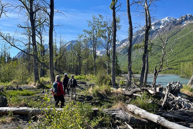 Summer Valley and Forest Hike - What You’ll See: Trees, Shrubs, Water, and the Stuff You Usually Miss