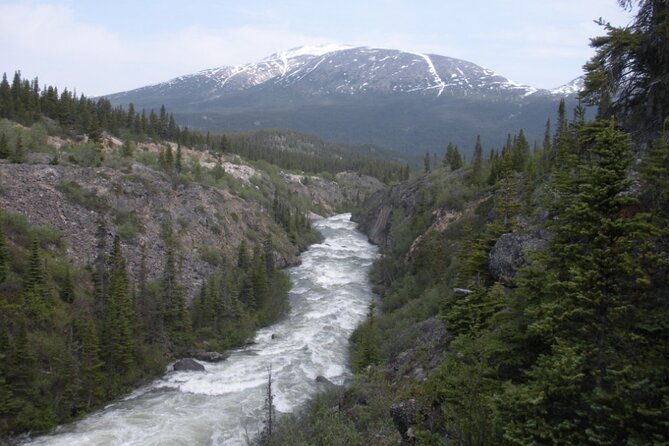 Summit Experience & Yukon Suspension Bridge Tour - Pickup, Docks, and the Border Crossing Reality Check