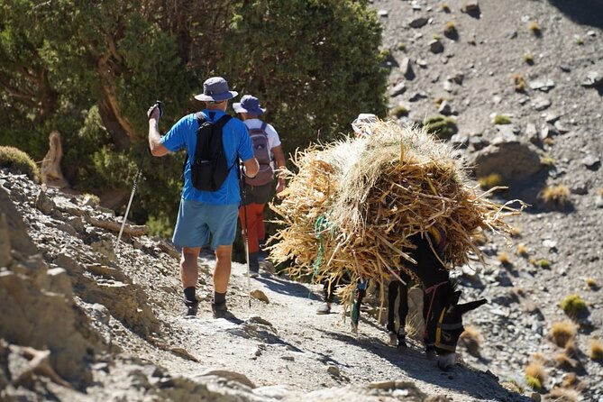 Summiting and Hiking the Atlas Mountains Day Trek from Marrakech - The 9:00 AM pickup and drive into the High Atlas