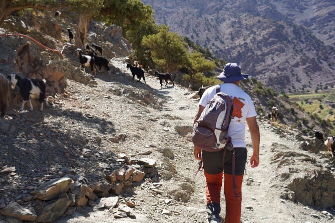 Summiting and Hiking the Atlas Mountains Day Trek from Marrakech - The summit moment: views first, picnic second