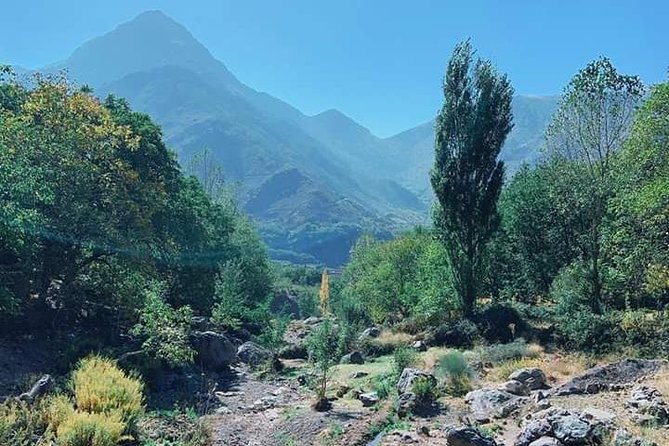 Summiting The Atlas Mountains, Day Hike & Trek From Marrakech - Logistics that actually matter: what to bring and how to pace yourself