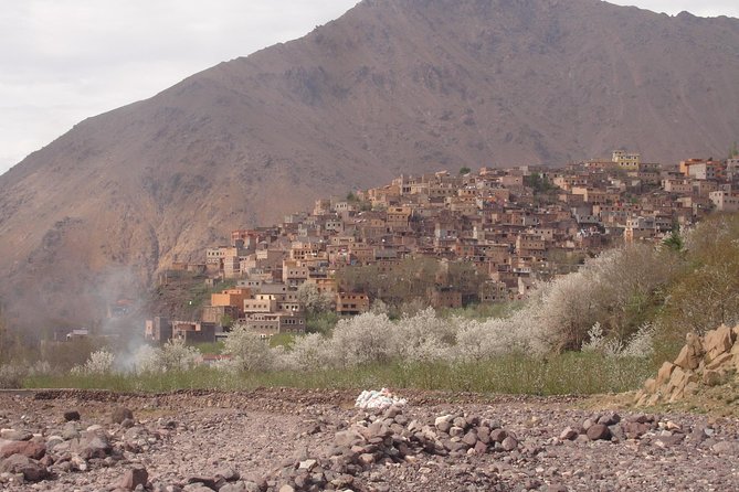 Summiting The Atlas Mountains, Day Hike & Trek From Marrakech - The Imlil Valley arrival: mint tea, views, and a quick orientation