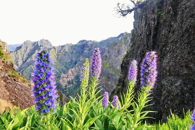 Sunrise Guided Hike PR1 Pico do Areeiro Pico Ruivo small group - Getting There at 6:00 a.m.: Pickup Timing You Can Actually Plan Around