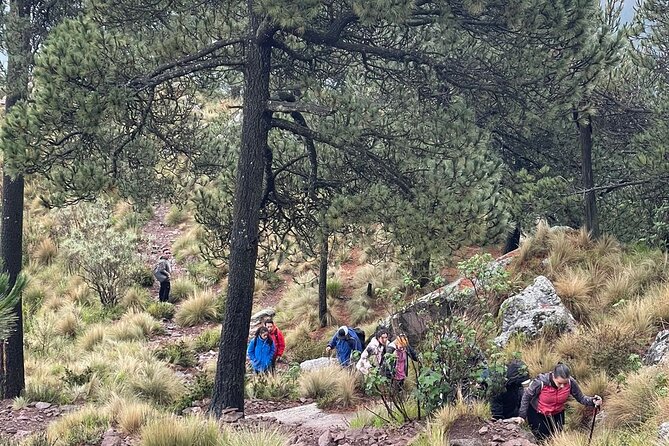 Sunrise in Las Alturas Hiking in El Pico del Aguila Tlalpan - Price check: is $107.47 worth it for a day like this?
